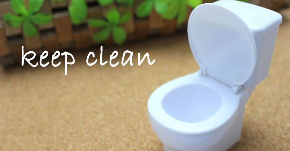 トイレ掃除のコツ教えますメインイメージ